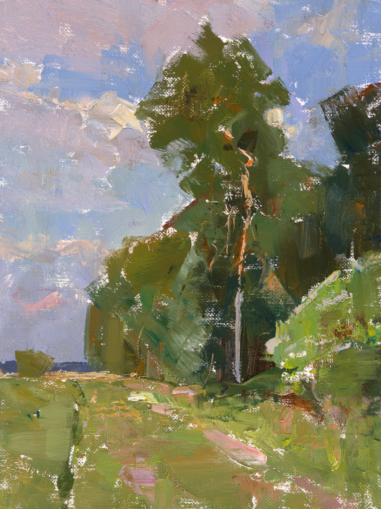 Afternoon Pine Afternoon Pine