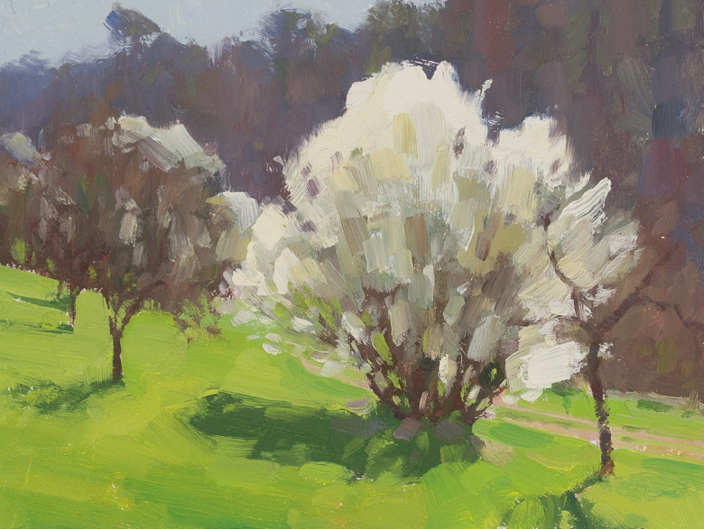 Bloom explosion Bloom explosion