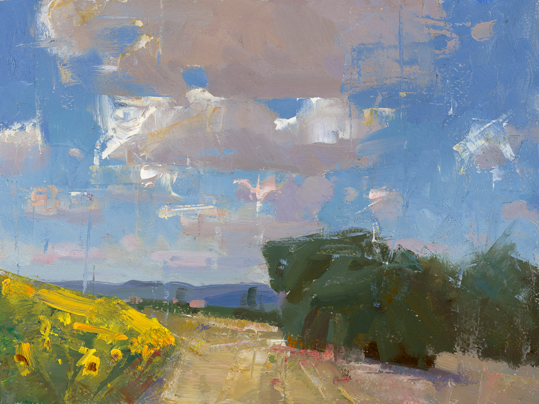 Clouds over Sunflowers I