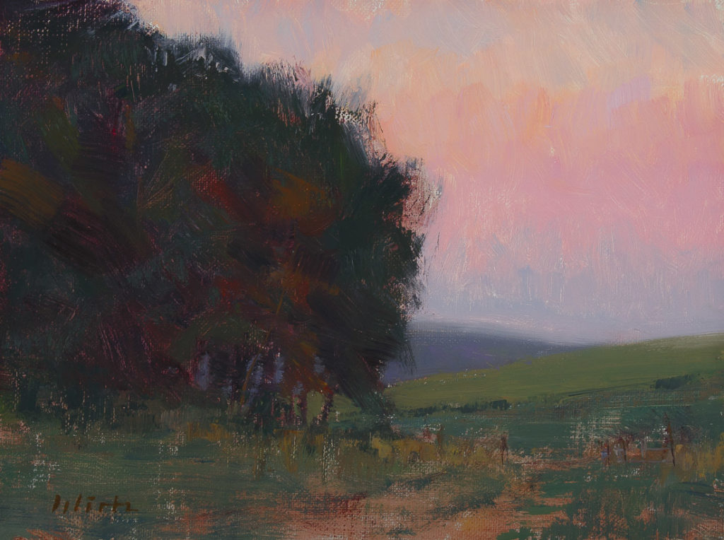 Forest edge Forest edge