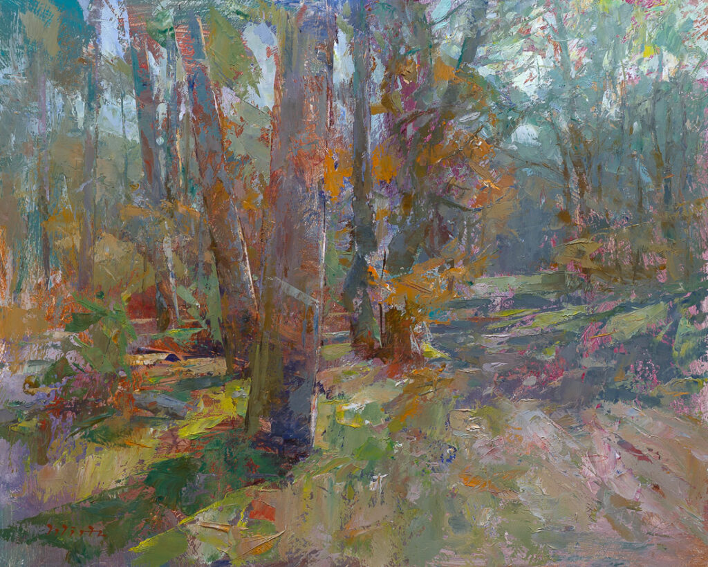 Gegenlicht mit Kiefern