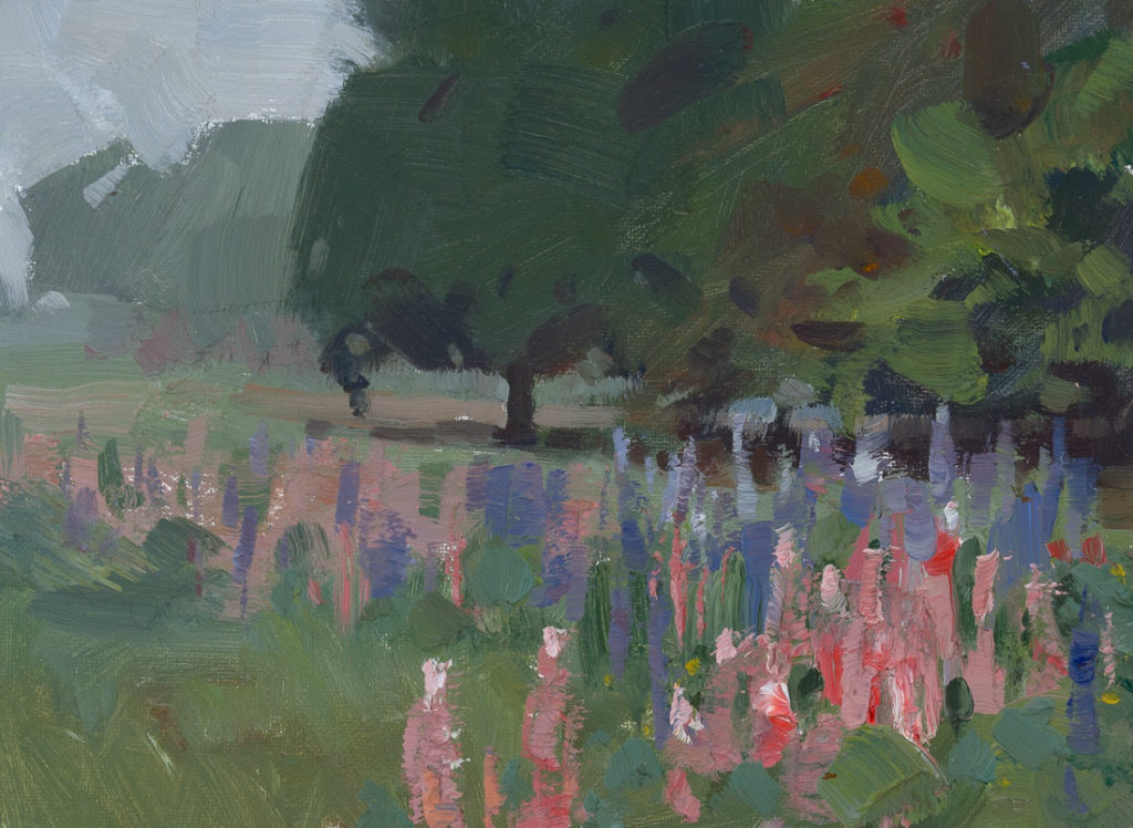 Lupines in fog Lupines in fog