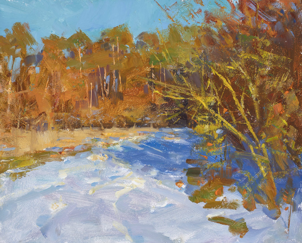 Snow at the forest edge