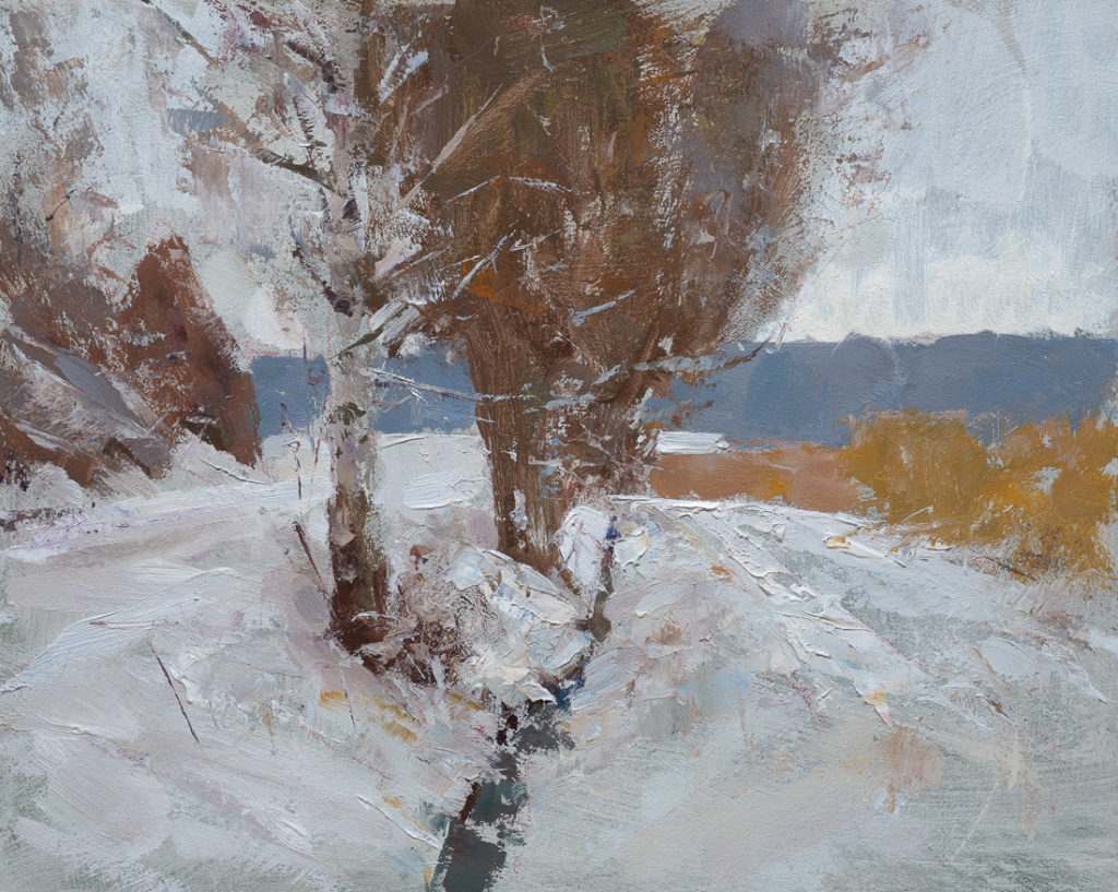 Snow by the pond