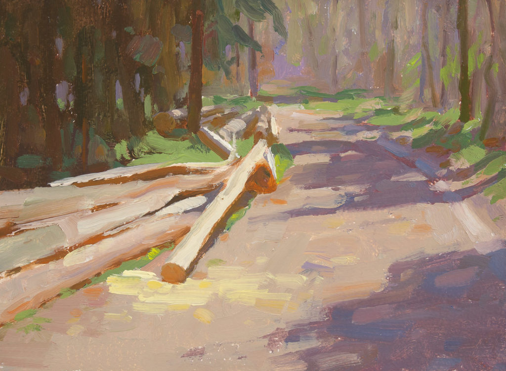 Spring in the forest Spring in the forest