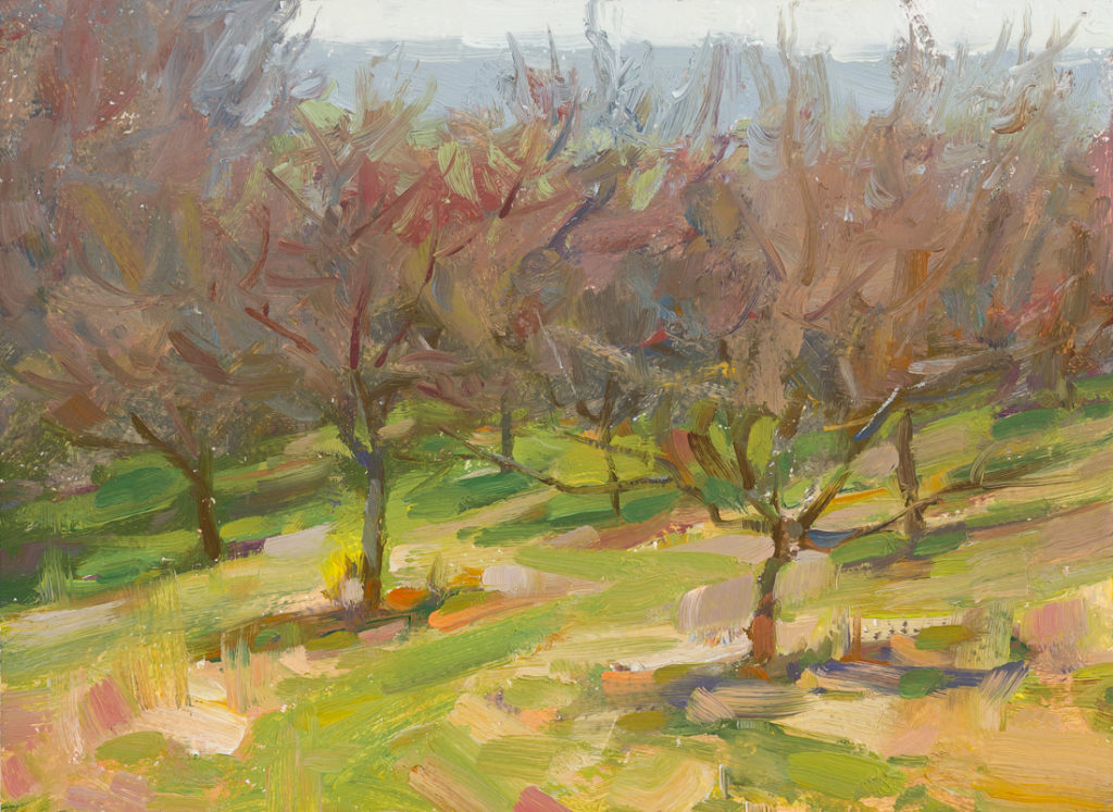 Streuobstwiese Streuobstwiese